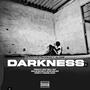 Darkness (Acapela) (feat. Hossy)