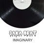 Imaginary (Explicit)