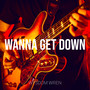 Wanna Get Down