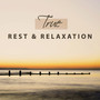 True Rest & Relaxation – Prefect Sounds of Nature for Positive Thinking, Slumber and Meditation, Deep Massage