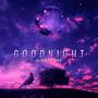 Good Night (Van Snyder Remix)