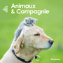 Animaux & Compagnie