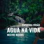 Agua na Vida