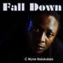 Fall Down