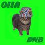 OIIA CAT dnb ver.