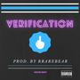 Verification (Explicit)