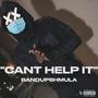 Can't Help It (Explicit)