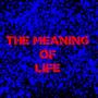 The meaning of life (Explicit)