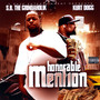 Honorable Mention (Explicit)