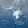 Restless Dolphin