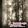 Rutabaga: Root Music Volume 2