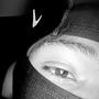 SnakeShyt (Explicit)