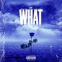 What (Explicit)