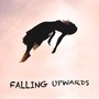 Falling Upwards