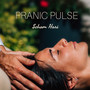 Pranic Pulse (Ayurvedic Reiki Echoes from India)