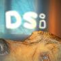 DSi (Explicit)