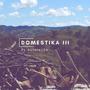 Domestika III