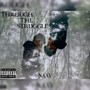 Through the Struggle (Explicit)