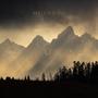 wild Tetons