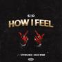 How I Feel (feat. SBR & Rich WRLD) [Explicit]