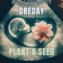 Plant a seed (Explicit)