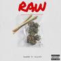 Raw (feat. Exzra)