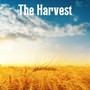 The Harvest