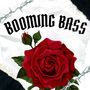 Booming Bass