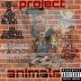 PROJECT ANIMALS (Explicit)