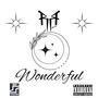 Wonderful (Explicit)