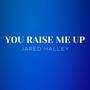 You Raise Me Up (Acappella)