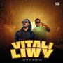 No es mi intencion (feat. vitali, liwy & Dakalii producer)