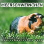 ich möch´t ein Meerschweinchen sein