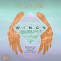 Wings Remixes