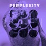 PERPLEXITY