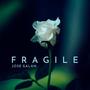 Fragile