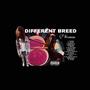 Different Breed (Explicit)