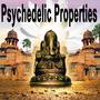 Psychedelic Properties The Best of Psy Techno, Goa Trance & Progressive Tech House Anthems