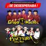 Se Desesperaba│Grupo 7 Machos Junto a Los Pincheira del Sur