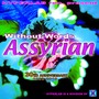 ASSYRIAN (30th anniversary RMX)