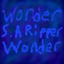 Wonder (Explicit)