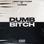 DUMB ***** (feat. 5starnoni) [Explicit]