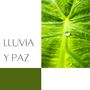 Lluvia y Paz: Música Tranquila con los Sonidos de la Naturaleza más Relajantes y Hermosos