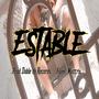 Estable (Explicit)