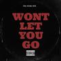 Won't Let You Go (Explicit)