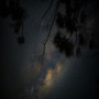 Telepathic Message (Explicit)