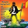 Surf up vol 2 (Explicit)