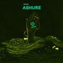 ASHURE:MAKE MONEY NOT FRIENDS (Explicit)