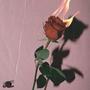 La Vie End Rose (Explicit)