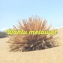 waktu melawat